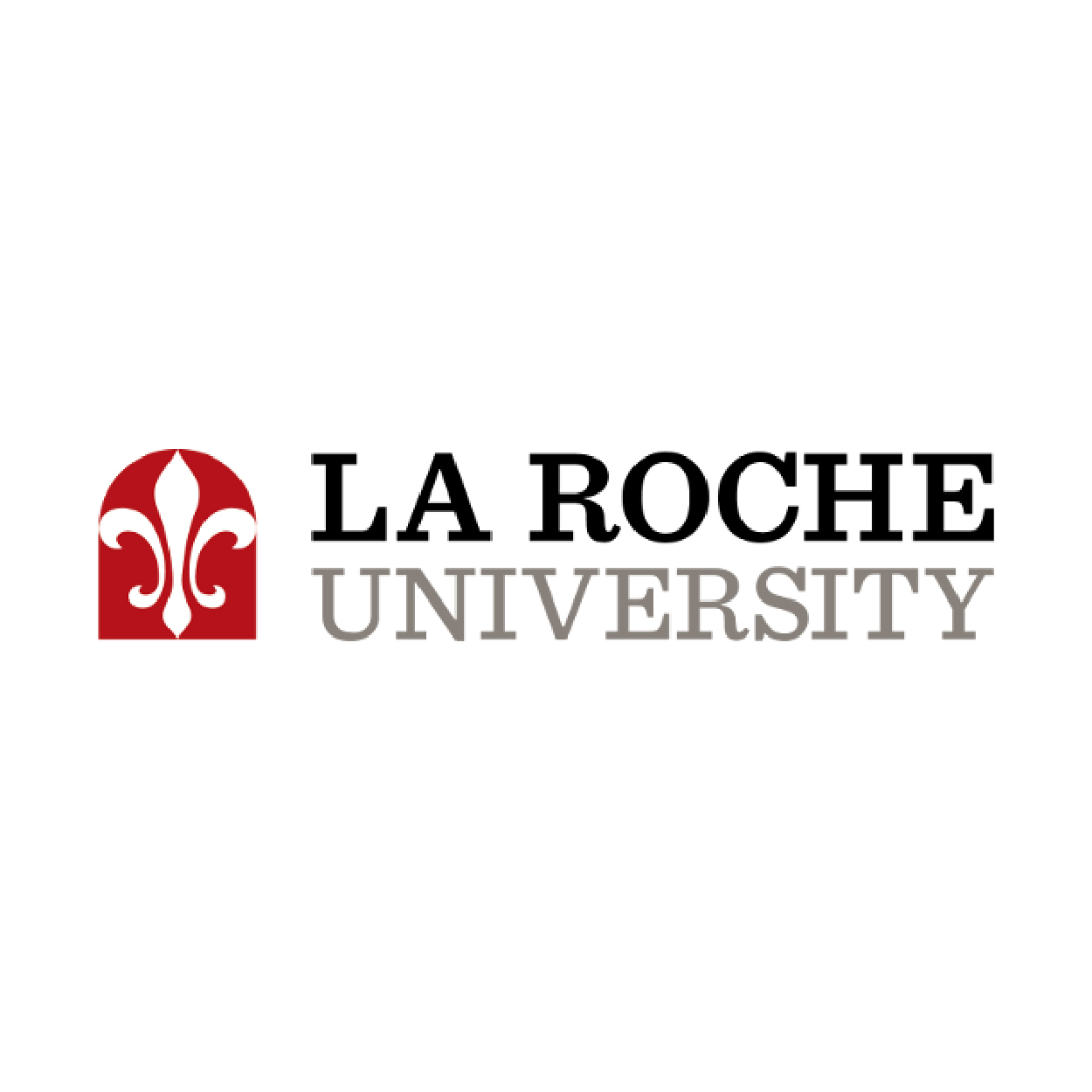 La Roche University Signs MOU with Avantika University, Strengthening Global Academic and Innovation Ties